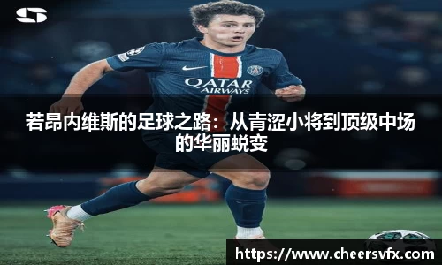 mk体育官网